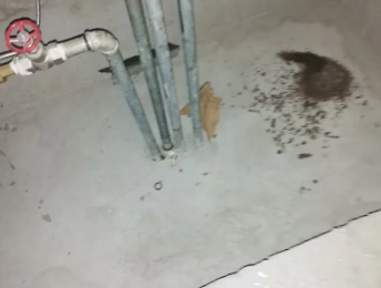 通州卫生间测漏水价格明细